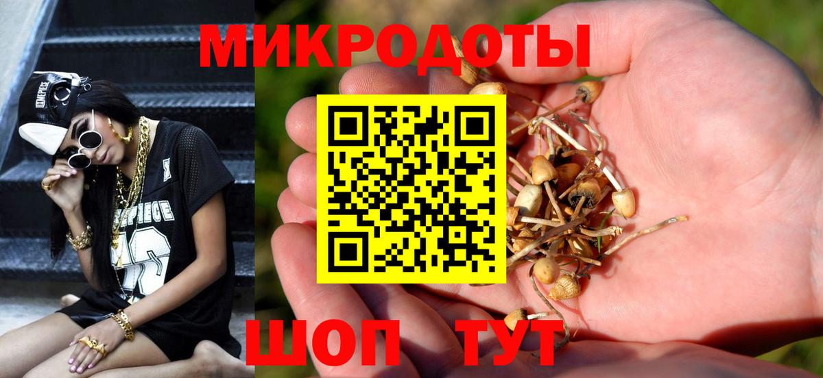 Галлюциногенные грибы мицелий Туапсе