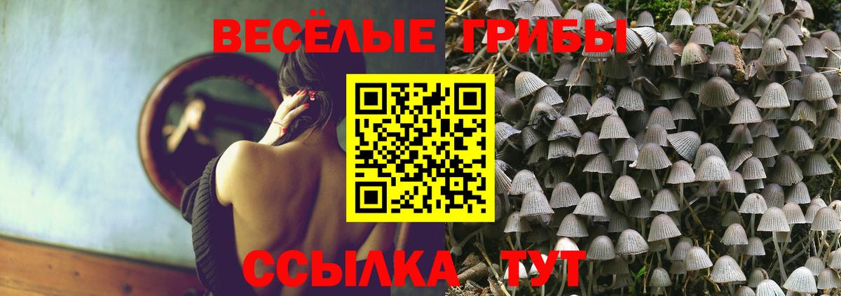 Галлюциногенные грибы Psilocybine cubensis  Вход с VPN  Туапсе 
